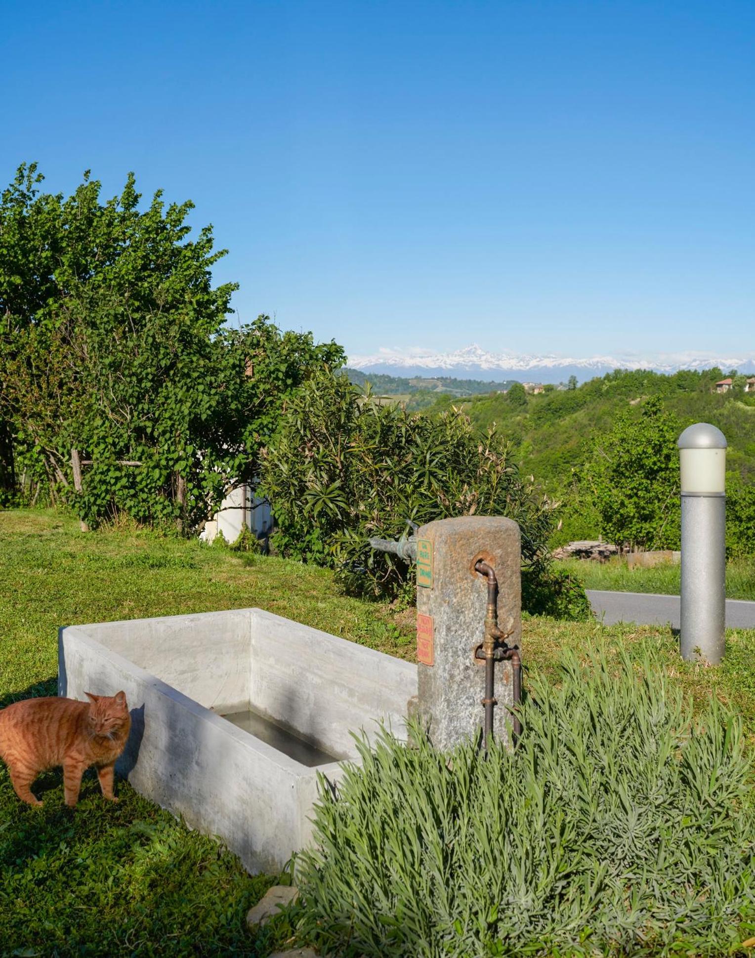 Villa Cascina Sant'Eufemia Sinio Exterior foto